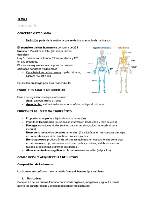 Miniatura del documento TEMA-4.-OSTEOLOGIA.pdf