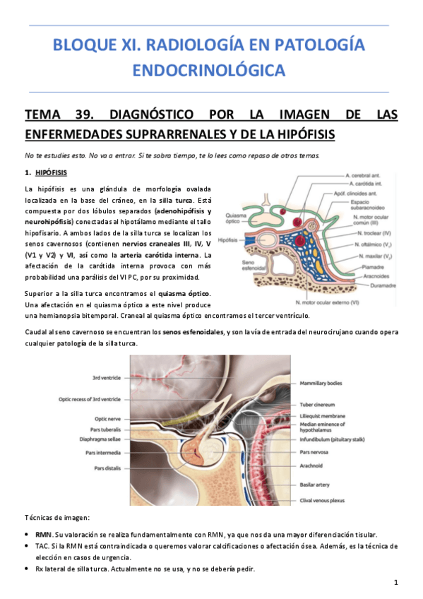 Miniatura del documento BLOQUE-XI.-RADIOLOGIA-EN-PATOLOGIA-ENDOCRINOLOGICA.pdf
