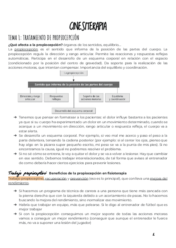 Miniatura del documento APUNTES-CINESITERAPIA-COMPLETOS.pdf