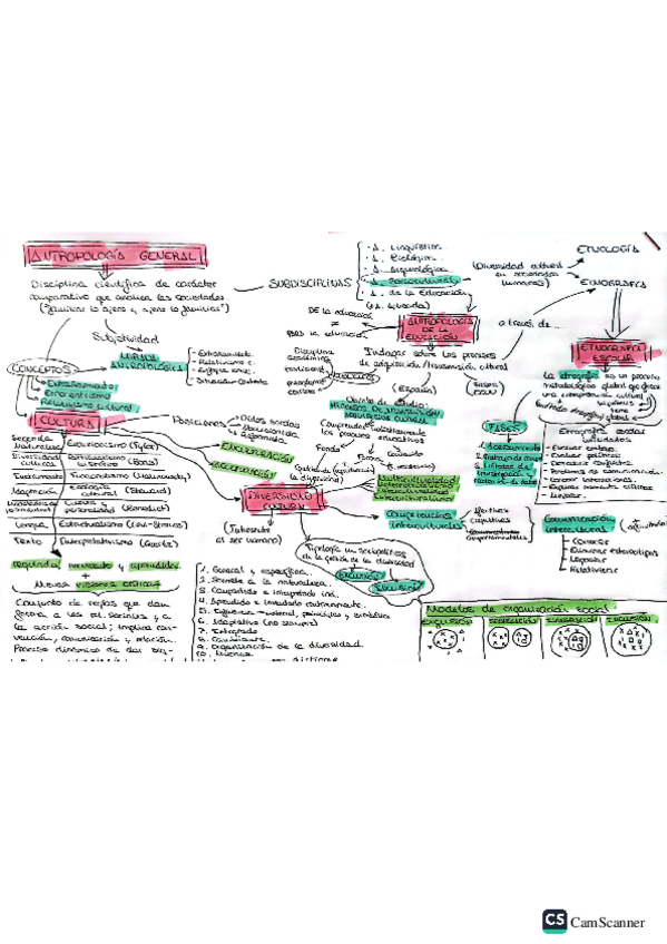 Miniatura del documento ESQUEMA-Antropologia-de-la-Educacion.pdf