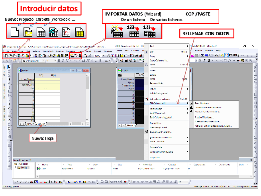 Miniatura del documento TemaOrigin.pdf