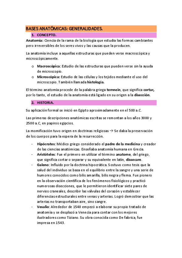 Miniatura del documento BASES-ANATOMICAS.pdf
