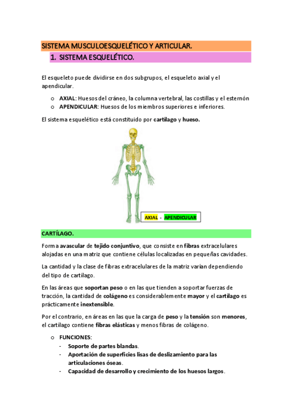 Miniatura del documento SISTEMA-MUSCULOESQUELETICO-Y-ARTICULAR.pdf