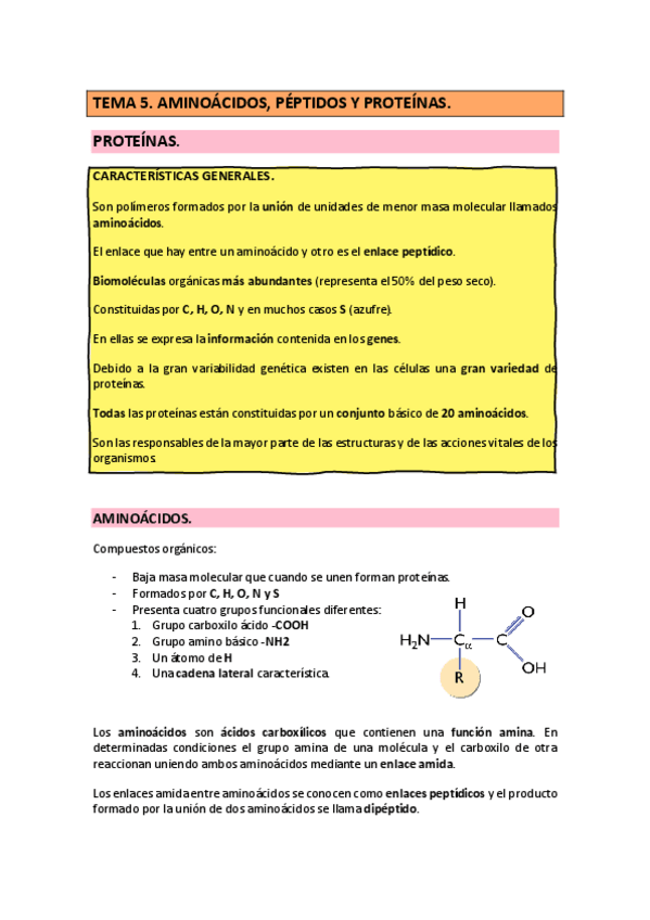 Miniatura del documento TEMA-5-BIOQUIMICA-AMINOACIDOS-PEPTIDOS-Y-PROTEINAS-22-23.pdf