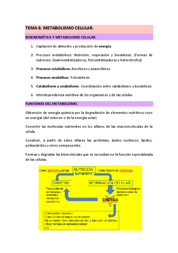 Miniatura del documento TEMA-8-METABOLISMO-22-23.pdf