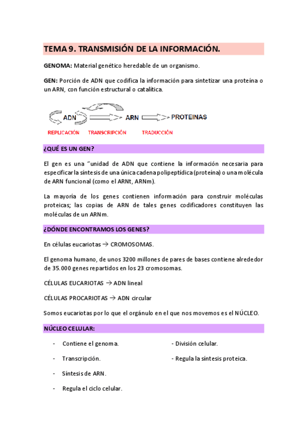 Miniatura del documento TEMA-9-BIOQUIMICA-ADN-22-23.pdf