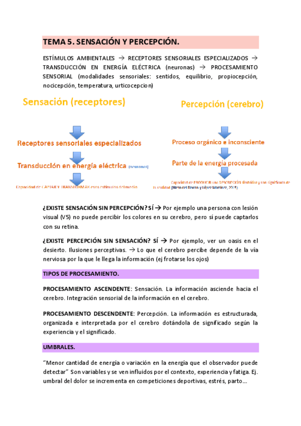 Miniatura del documento TEMA-5-PSICOLOGIA-SENSACION-Y-PERCEPCION-22-23.pdf