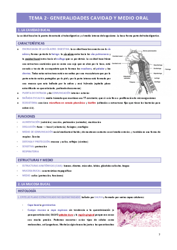 Miniatura del documento TEMA-2.-GENERALIDADES-CAVIDAD-Y-MEDIO-ORAL.pdf
