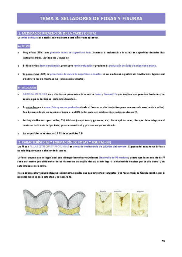 Miniatura del documento TEMA-8.-SELLADORES-DE-FOSAS-Y-FISURAS-pg-53-a-60.pdf