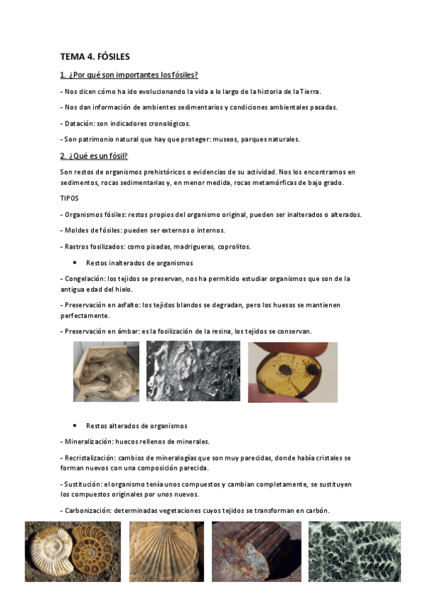 Miniatura del documento Tema-4.-Fosiles.pdf