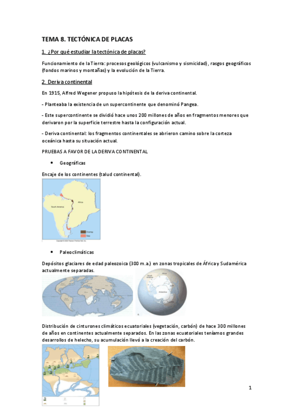 Miniatura del documento Tema-8.-Tectonica-de-placas.pdf