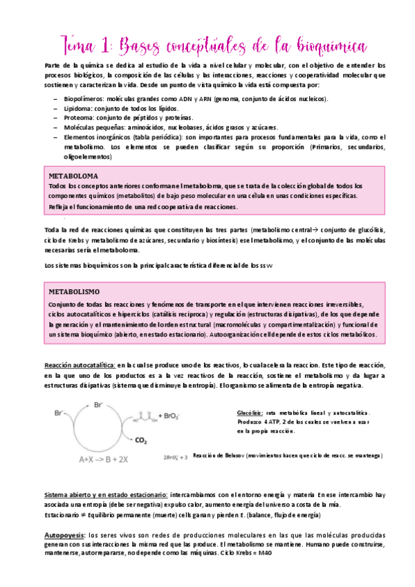 Miniatura del documento Tema-1.pdf