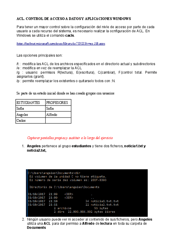 Miniatura del documento acl-windows-1.pdf