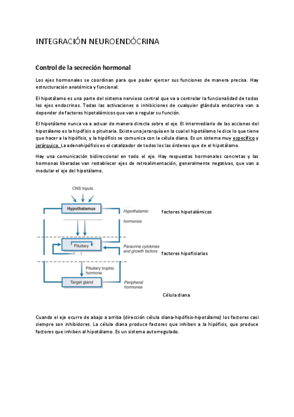 Miniatura del documento fisiomiguel.pdf