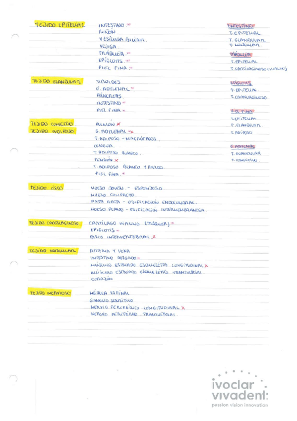 Miniatura del documento BIOLOGIA-DIBUJOS-TEJIDOS.pdf