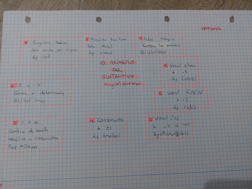 Miniatura del documento El-numero-del-sustantivo.jpg