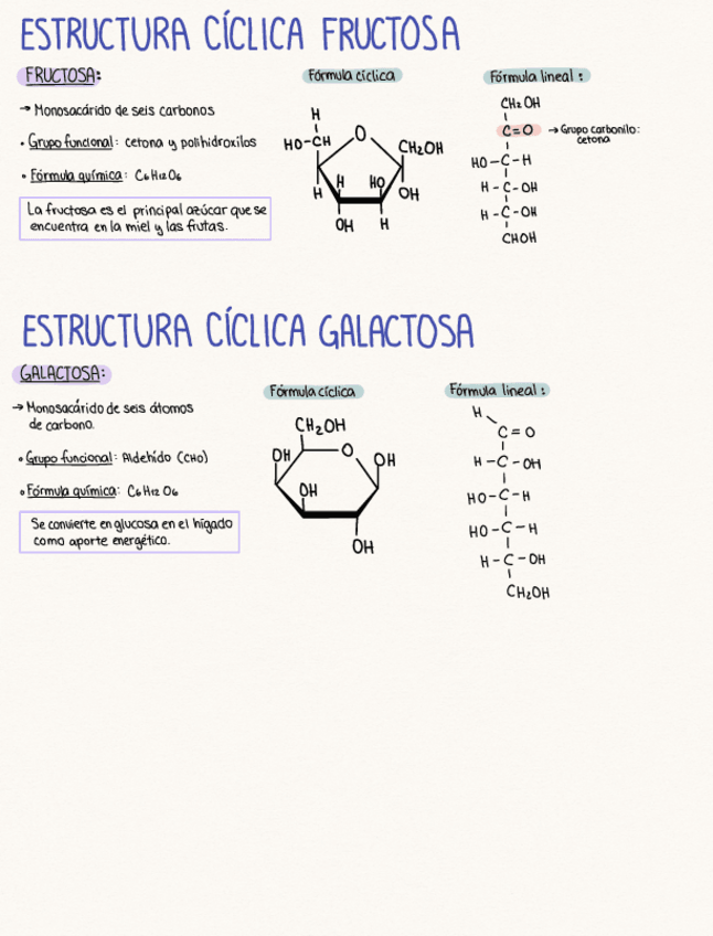 Miniatura del documento Trabajo-Fructosa-y-Galactosa.pdf