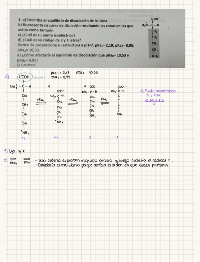Miniatura del documento Examen-simulador-bioquimica.pdf