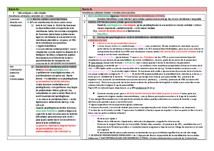 Miniatura del documento g-y-g-esquema.pdf