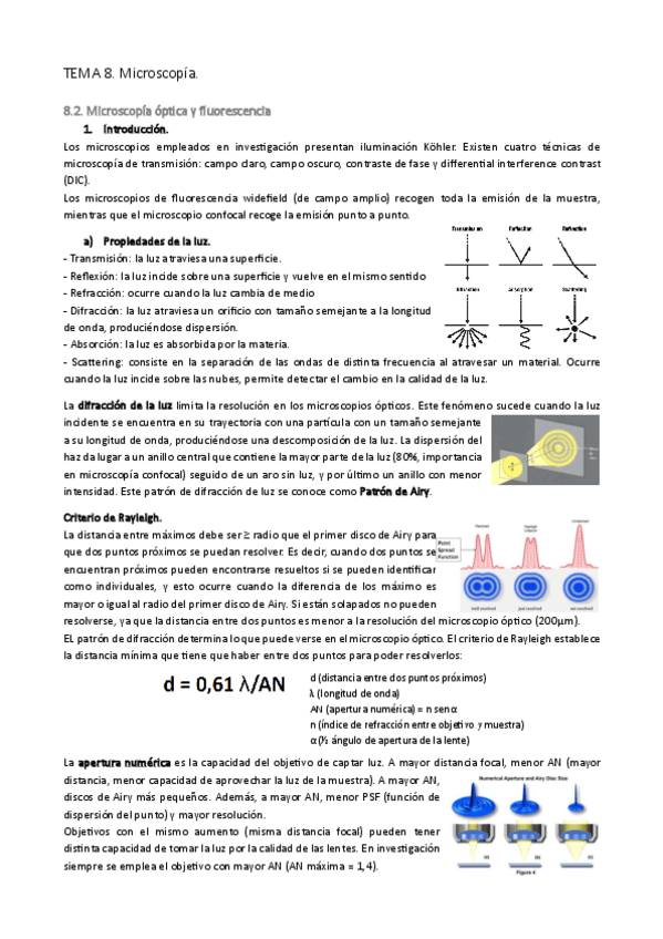 Miniatura del documento TEMA-8.-Microscopia.pdf