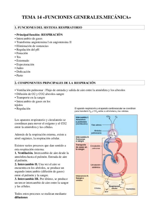 Miniatura del documento TEMA-14.odt