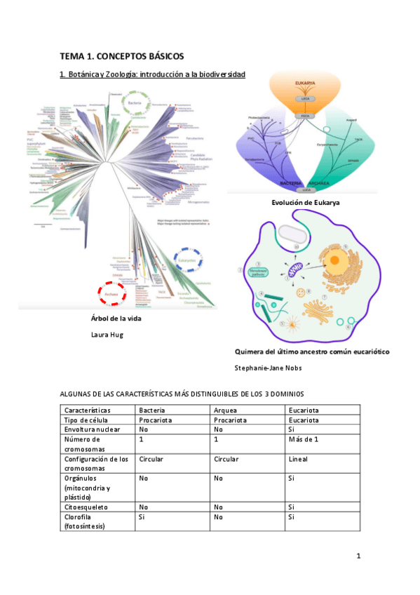 Miniatura del documento Tema-1.-Conceptos-basicos.pdf