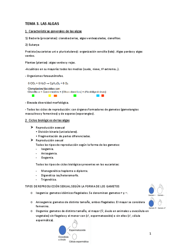 Miniatura del documento Tema-3.-Las-algas.pdf