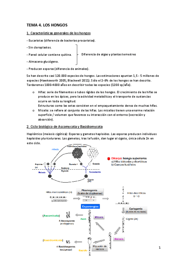 Miniatura del documento Tema-4.-Los-hongos.pdf