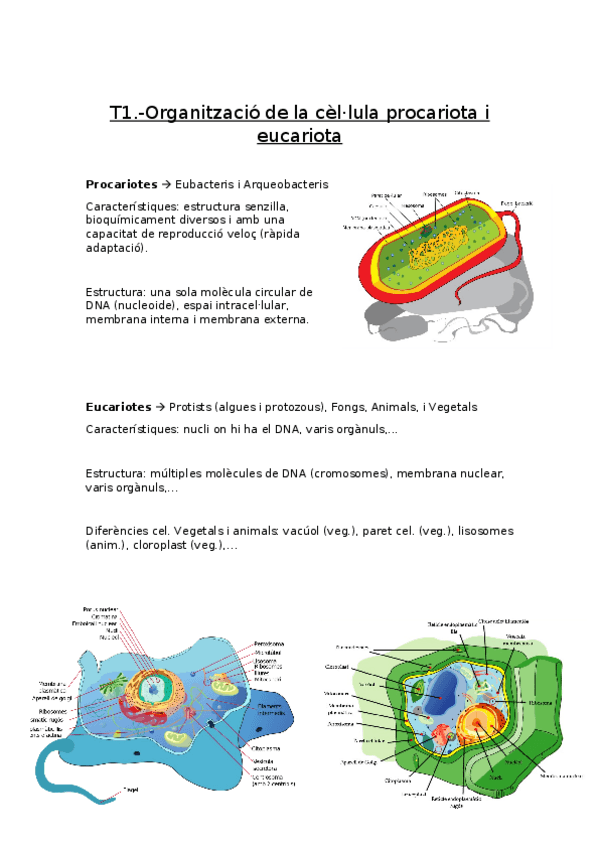 Miniatura del documento Apunts-BioCel-1-12.docx
