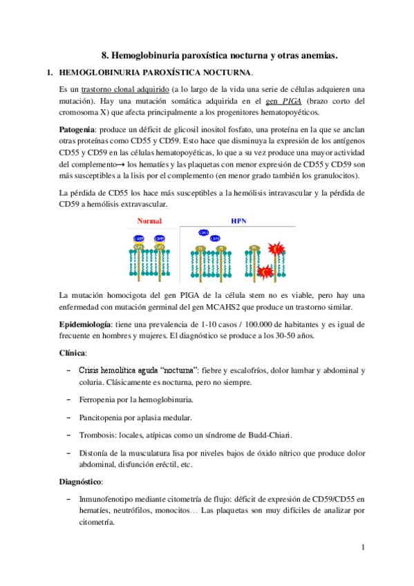 Miniatura del documento 8.-Hemoglobinuria-paroxistica-nocturna-y-otras-anemias.pdf