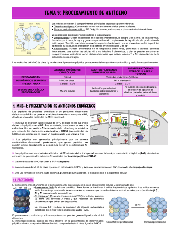 Miniatura del documento TEMA-9-PROCESAMIENTO-DE-ANTIGENO.pdf