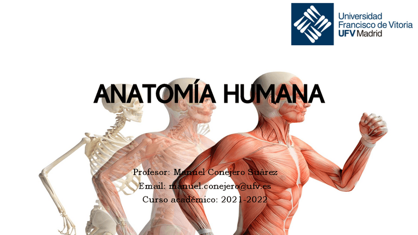 Miniatura del documento TEMA-1.-Anatomia-Humana.pdf