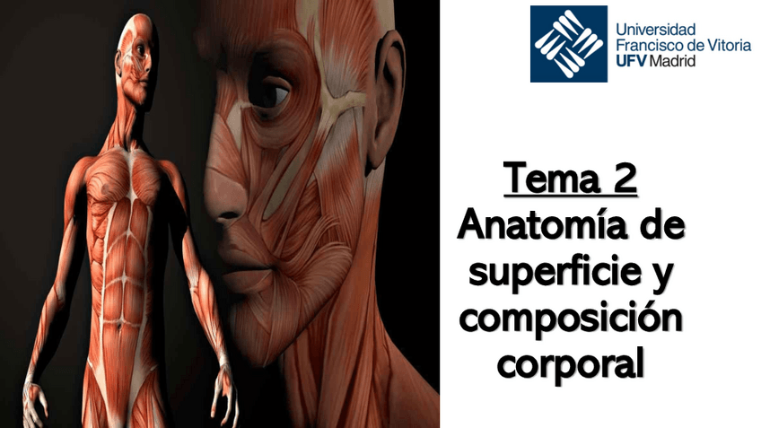 Miniatura del documento TEMA-2.-Anatomia-Humana.pdf