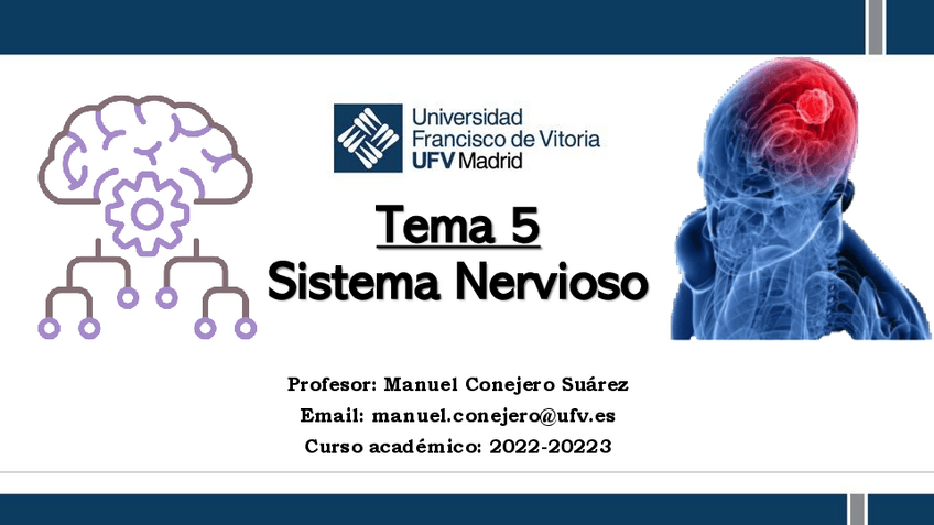 Miniatura del documento TEMA-5.-SISTEMA-NERVIOSO.pdf