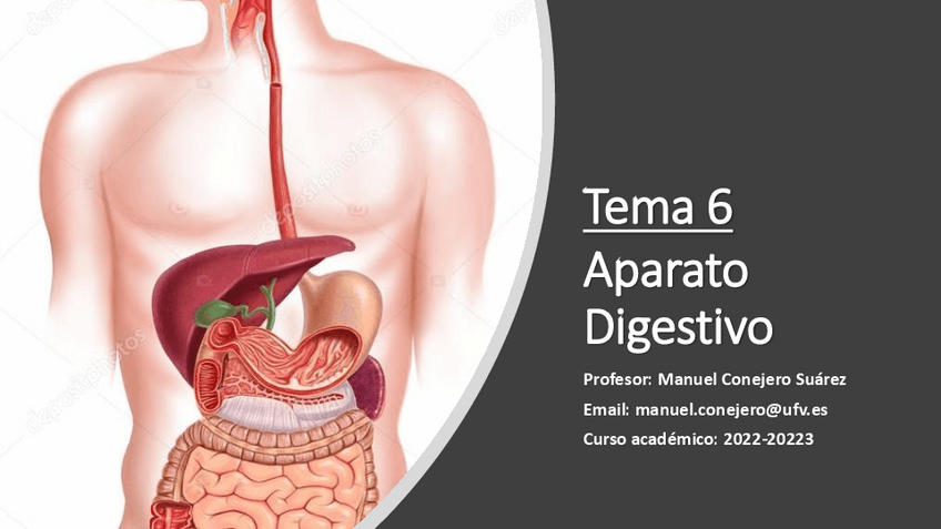Miniatura del documento TEMA-6.-APARATO-DIGESTIVO.pdf