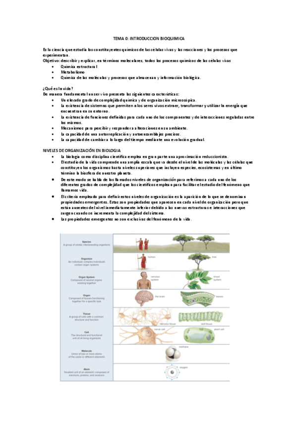 Miniatura del documento TEMA-0-BIOQUIMICAAA.pdf