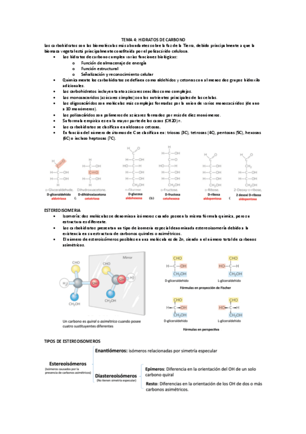 Miniatura del documento TEMA-4-HIDRATOS-DE-CARBONO.pdf