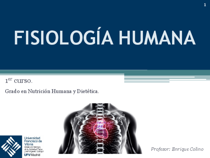 Miniatura del documento Tema-4.-Fisiologia-del-aparato-reproductor-provisional.pdf