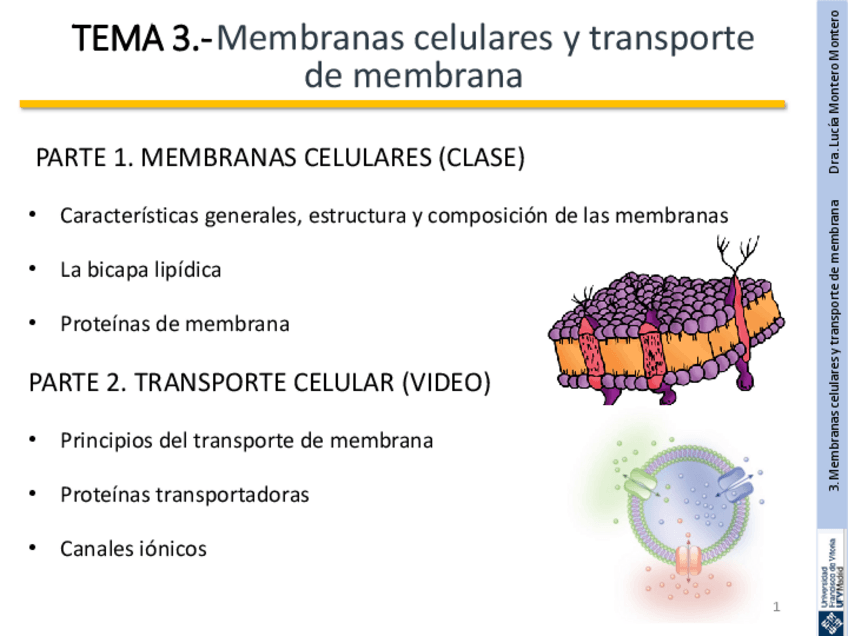 Miniatura del documento TEMA-3-PARTE-1.pdf