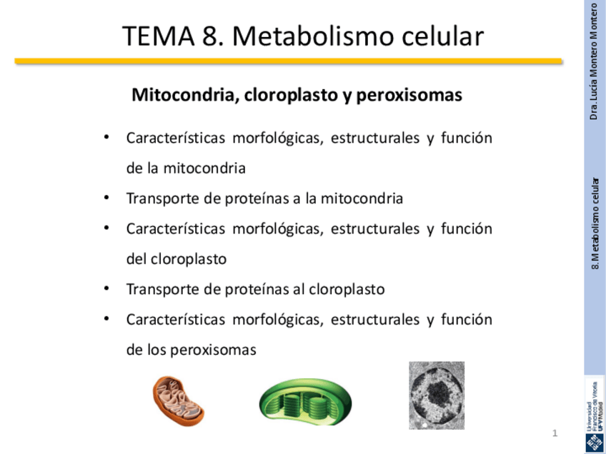 Miniatura del documento Tema-8.-Metabolismo-celular.pdf