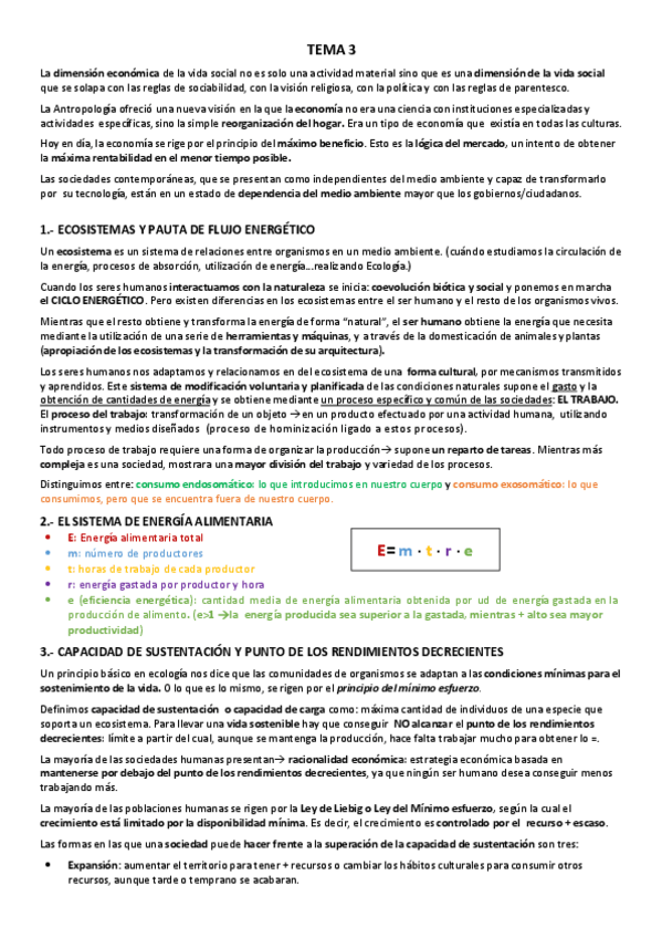 Miniatura del documento TEMA-3.-.-ADAPACION.-TECNOECONOMIA.pdf