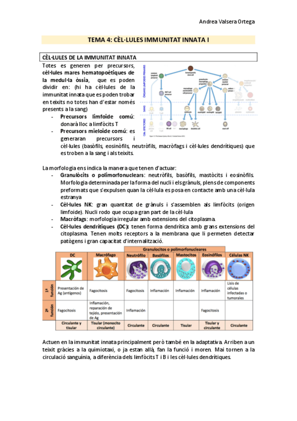 Miniatura del documento Tema-4-Immunologia.pdf