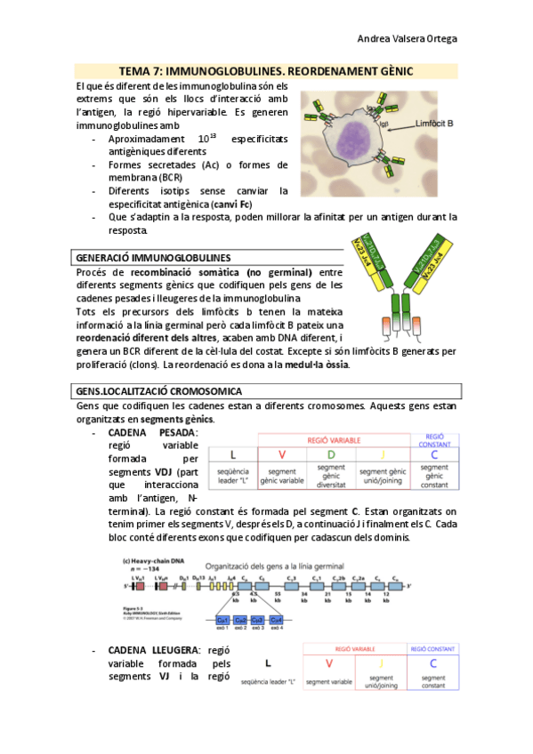 Miniatura del documento Tema-7-Immunologia.pdf