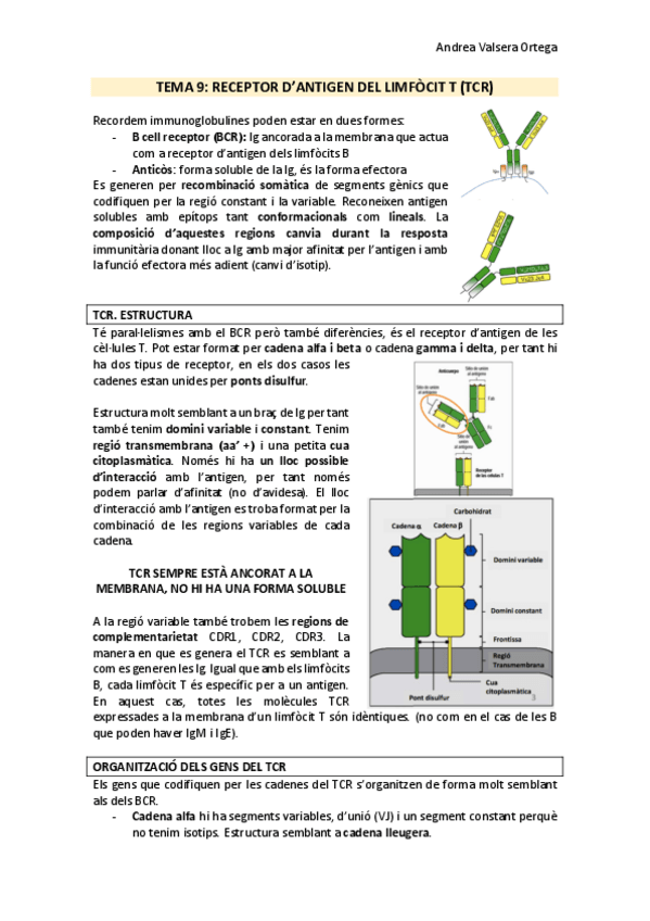 Miniatura del documento Tema-9-Immunologia.pdf