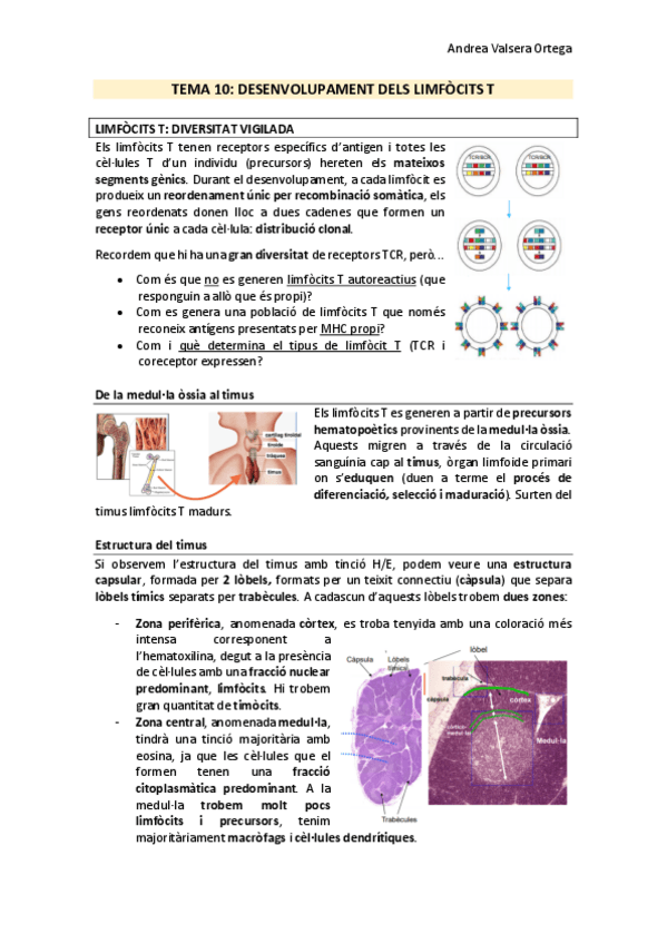 Miniatura del documento Tema-10-Immunologia.pdf