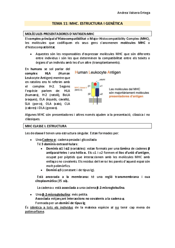Miniatura del documento Tema-11-Immunologia.pdf