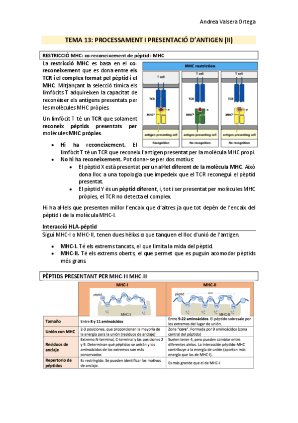 Miniatura del documento Tema-13-Immunologia.pdf
