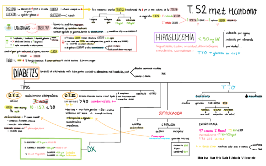 Miniatura del documento esquemas-a-cara-vista-medica-2o-Cuatri.pdf