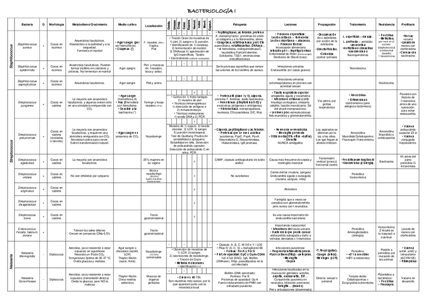 Miniatura del documento Bacterias1.pdf