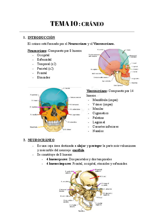 Miniatura del documento TEMA-10--CRANEO.pdf